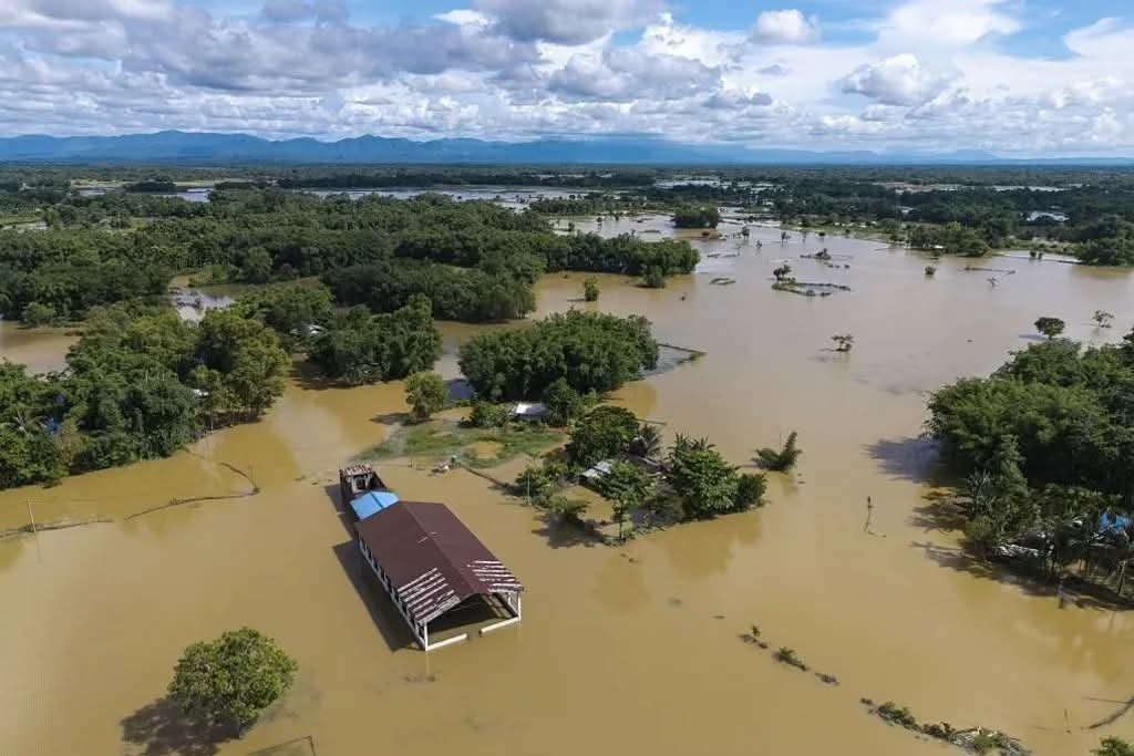 DipankarGibbs's tweet photo. Pray for Assam🙏

#assamflood #prayforassam #Sivasagar

@imVkohli @ImRo45 @msdhoni @sachin_rt 
@ImRaina @ashwinravi99 https://t.co/cbixcWxXhY