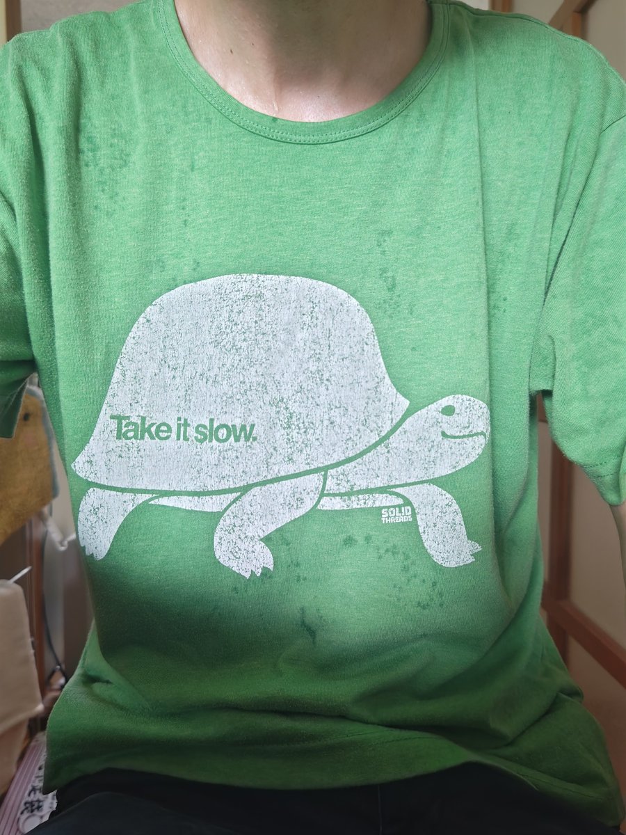 green_pepe's tweet photo. 今日はカメさんのシャツを着てるけど、昨日ランニングをしてたら歩道に大きなカメさんがいてびっくりした。 https://t.co/o6FVEF6tXQ