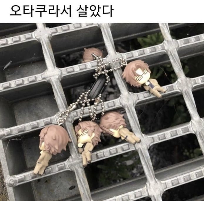 midology_'s tweet photo. @sonnet_18_ 뚱보들 없으면 저 큰일나죠.... https://t.co/XGe4lc3lnk