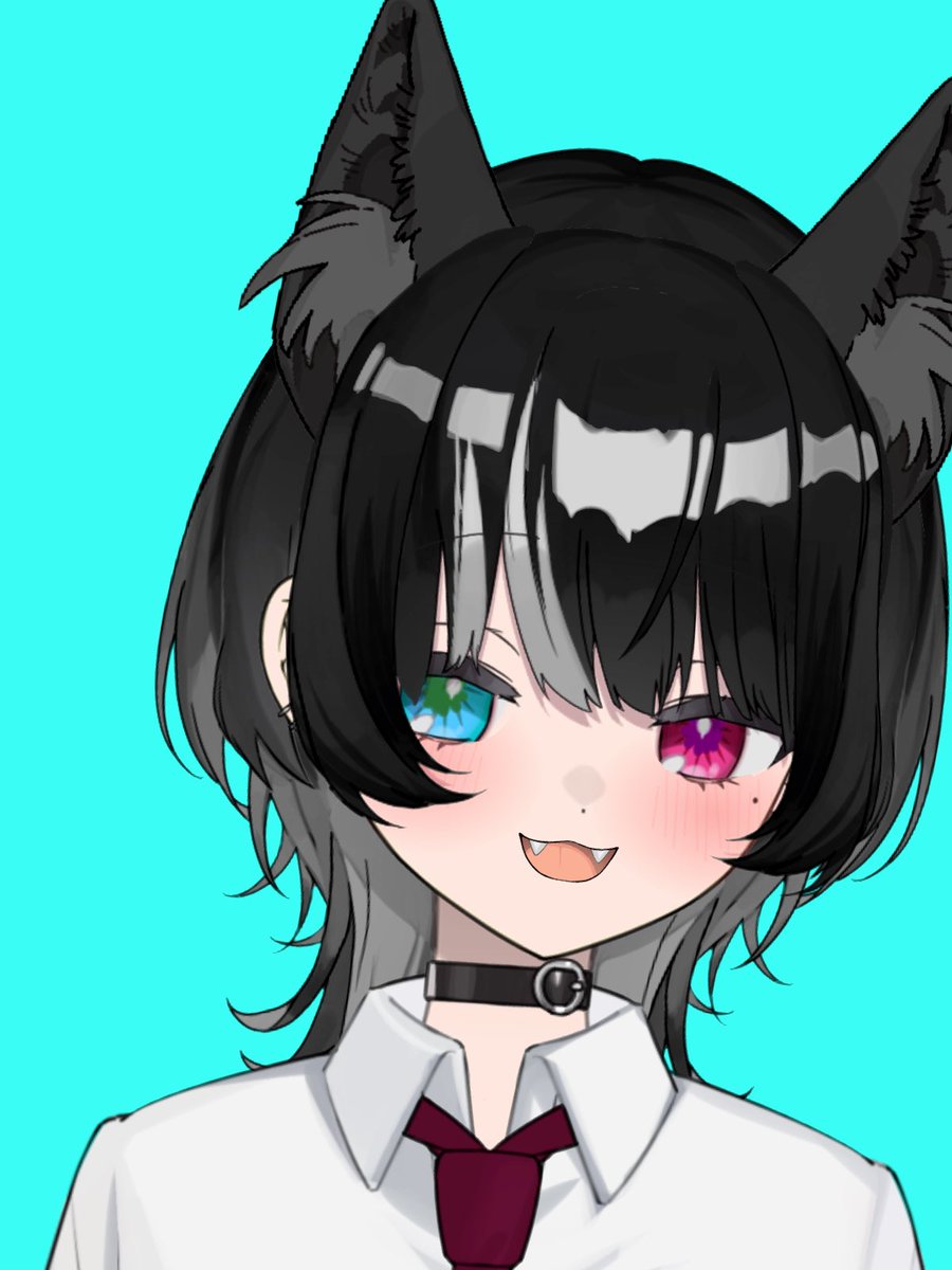 kotachan_____'s tweet photo. 午前中お付き合いいただき、
ありがとうございましたっ
いつもより早めの終わりでごめんね💦
また楽しくお話しようね🐾🩵🩷 https://t.co/rRfv8S6sJq