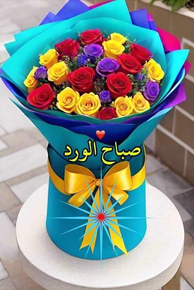 saansnn tweet picture