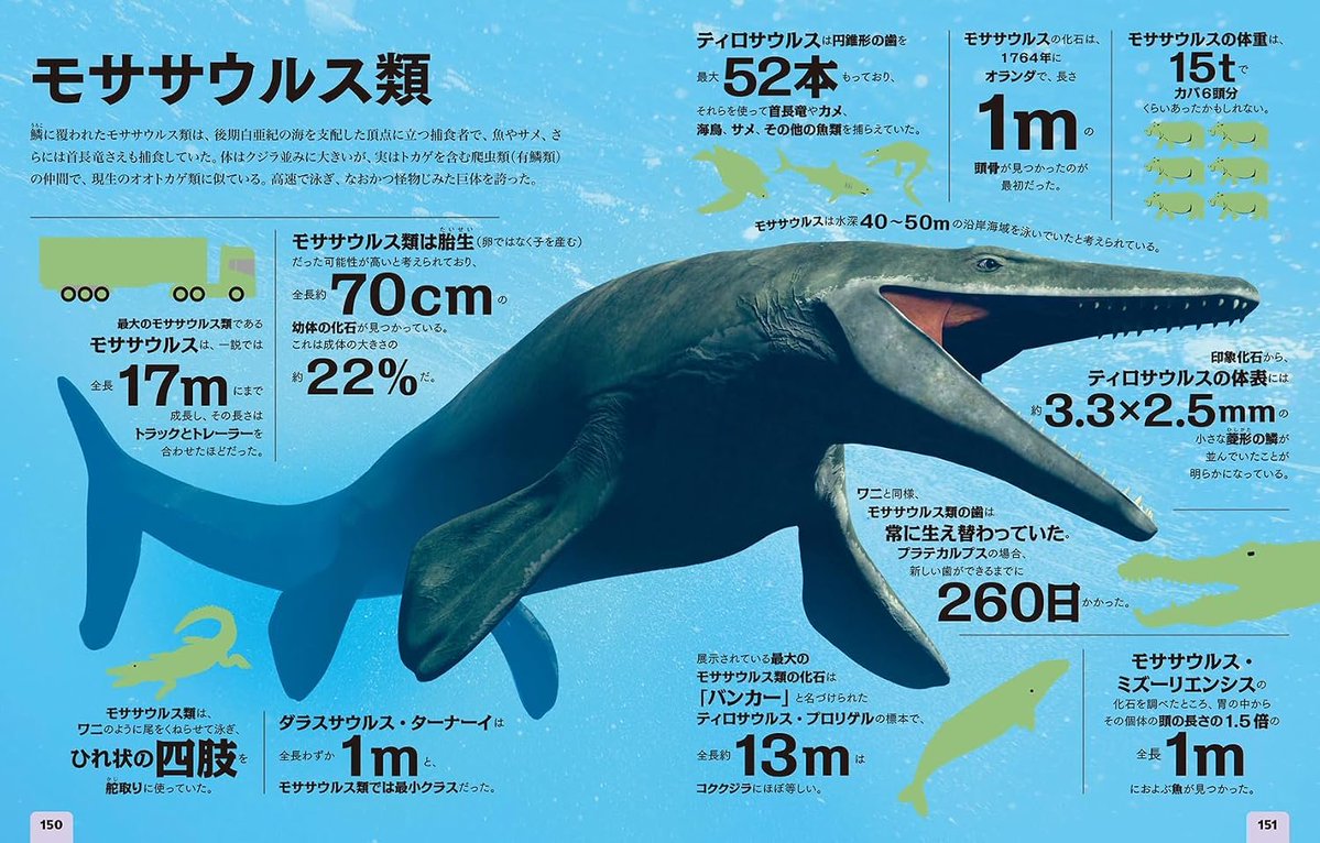 betabeta_kaseki's tweet photo. ついに発売！！！！！
🦕『恐竜と古生物　全部を数で知る図鑑』📖
https://t.co/UHfmfjkMdU

監修：福井県立恐竜博物館
編集：ナショジオ

という布陣で“数”にフューチャーした古生物図鑑
数字から古生物に思いを馳せたことがないので
全く新しい切り口が新鮮ですね https://t.co/S2q2J9WWYH