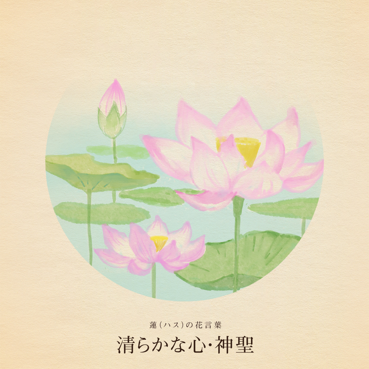 hanacotoba_jp's tweet photo. きょう8月15日は
月遅れ盆(お盆)
精霊流し
刺身の日
ナポレオンの誕生日
レフ・テルミンの誕生日
終戦の日
終戦記念日
戦没者を追悼し平和を祈念する日

誕生花はハス
花言葉「清らかな心」「神聖」 https://t.co/DQkPnvElQn