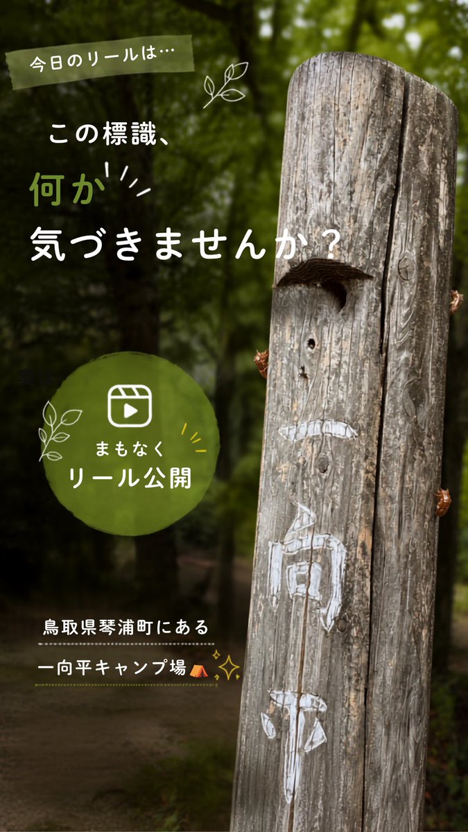 kotocam37's tweet photo. 夏のものお届けしてまーす🌿 https://t.co/8sNbpsiQAB
