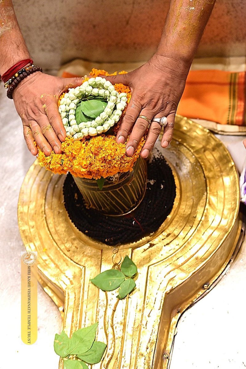 AnujBajpai_'s tweet photo. नमः पार्वतीपतये हर हर महादेव 🙏🏻🙏🏻जय बाबा काशी विश्वनाथ 🙏🏻🙏🏻 https://t.co/ZaMl8XwEYa