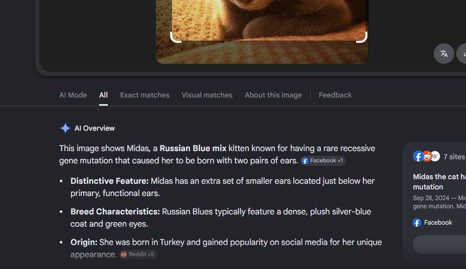 Purp tweet media