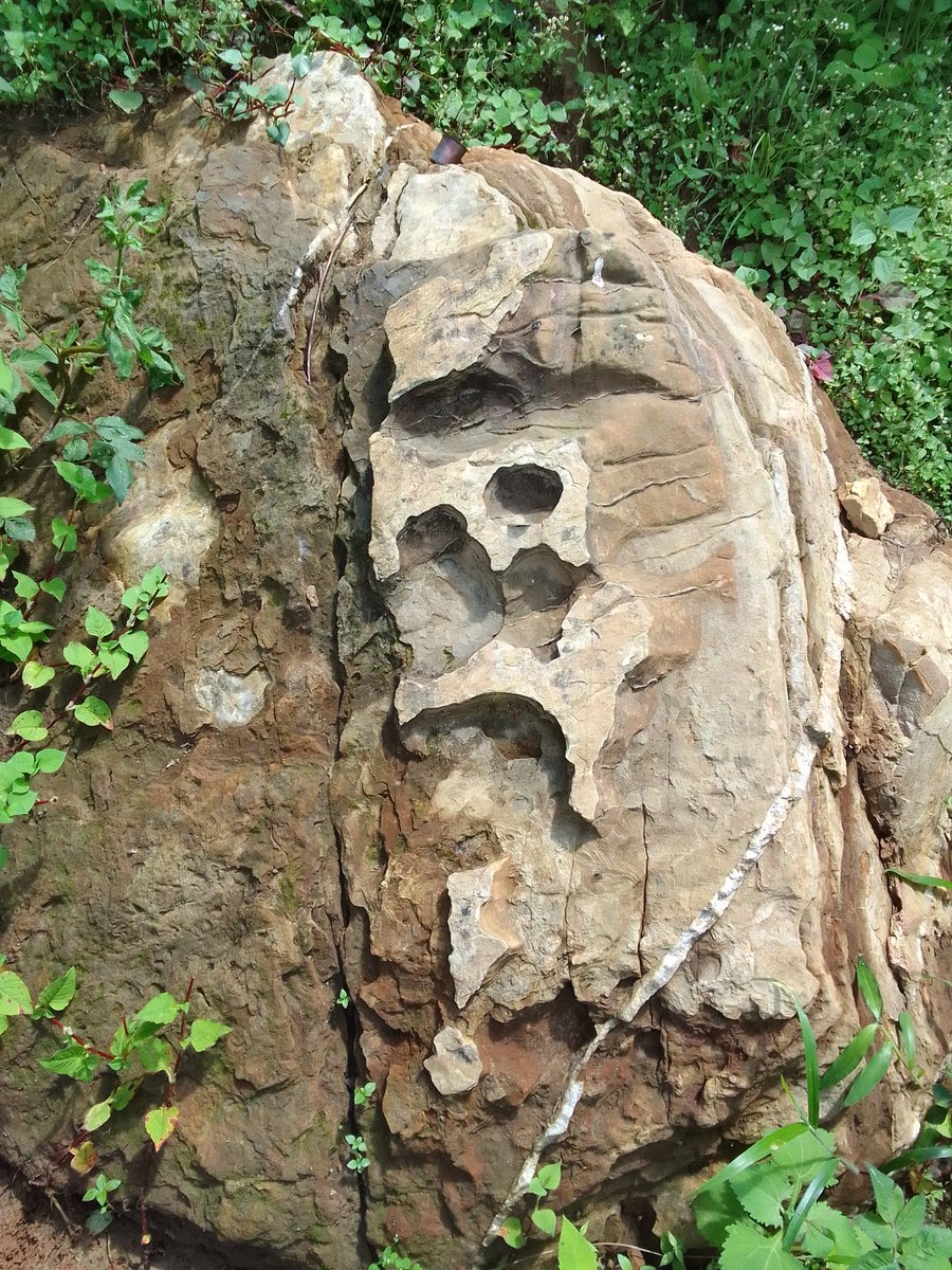 DareDevilwwr's tweet photo. 📍 Bhasmey Hill, Simalchaur, Balthali, Kavrepalanchok, Nepal 🇳🇵

Discovered this fascinating natural rock formation during a visit to Bhasmey Hill. From different angles, it may remind people of a Shivling, Nandi, a human face, or other shapes. 

#Nepal #BhasmeyHill #Geology https://t.co/lwzsYXiEGG