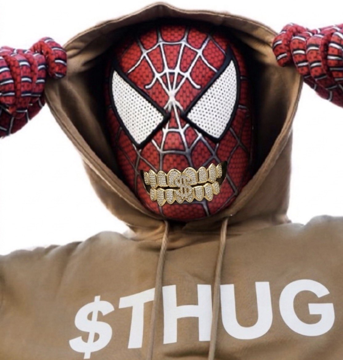 ThaRealSponge48's tweet photo. @SpiderThugSol Now’s it’s time to brings some others out of the hood $THUG https://t.co/yeIccQJ4mM