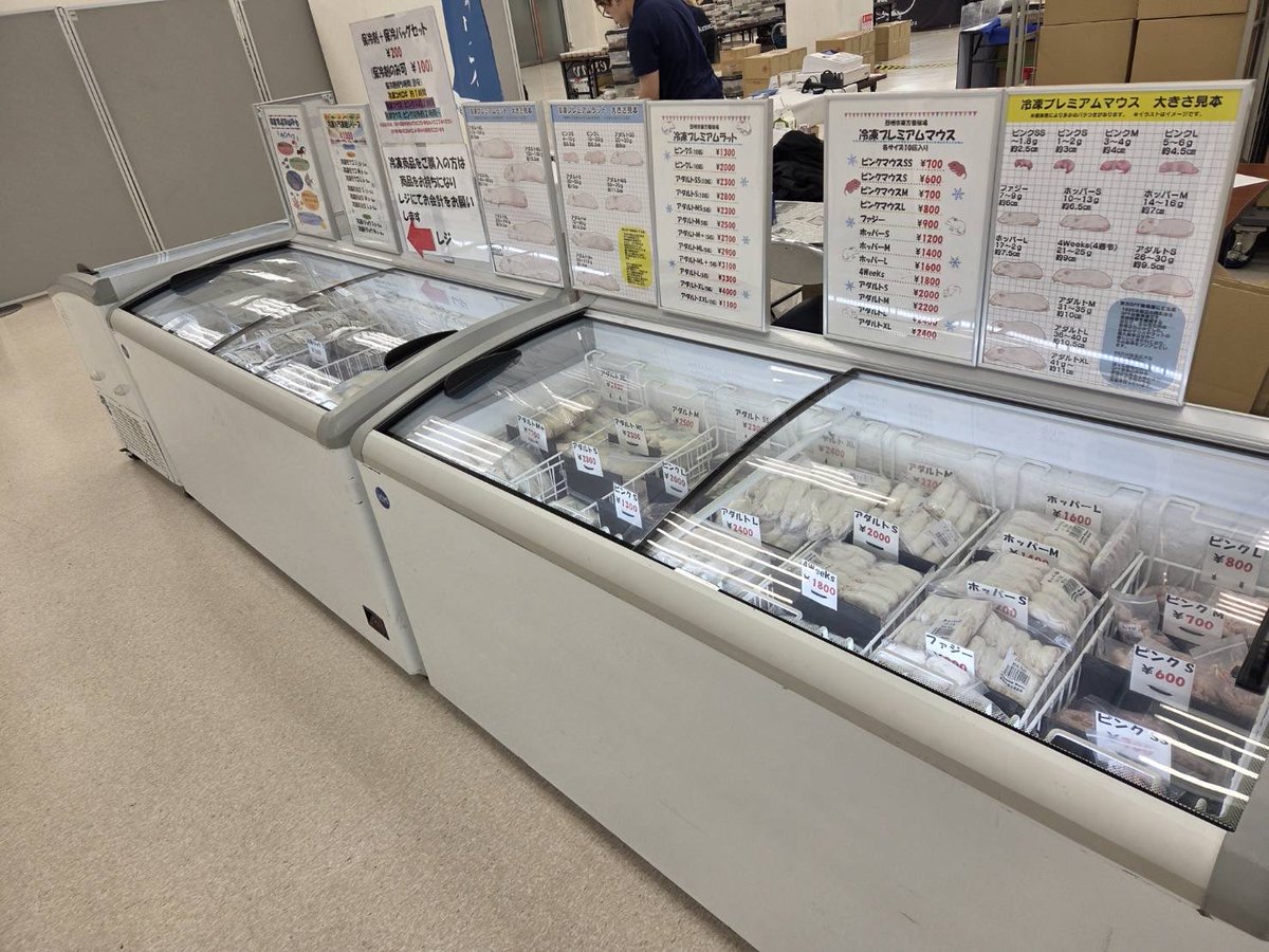 aurafarm1273's tweet photo. JRS静岡⭐️冷凍マウス🐁
🔥イベント限定価格🔥で販売❗️❗️
🧊プライスは会場でのお楽しみに🤩🧊
#ジャパンレプタイルズショー https://t.co/yWDNPAfFmf