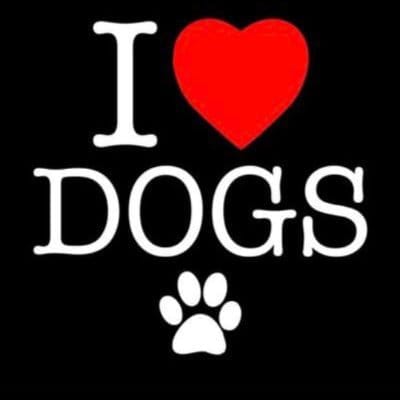 jadepurity011's tweet photo. Check my Bio🤤🫣
#dogsex #knotty #dogpill #dog #puppy #dogwhore #zoophilia #bestiality #doglover #dogknotting #dogwoman #transgender #LGBTQ #dogwhore #artofzoo #artofzoofirsttime #pawlove #doglover #nsfwtwt https://t.co/KN31pJ0kJw