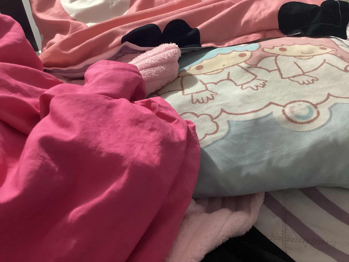 lowkeyllx's tweet photo. Typa bed                          my messy 
deco I want         vs          pink bed https://t.co/WNMks0z8Ut