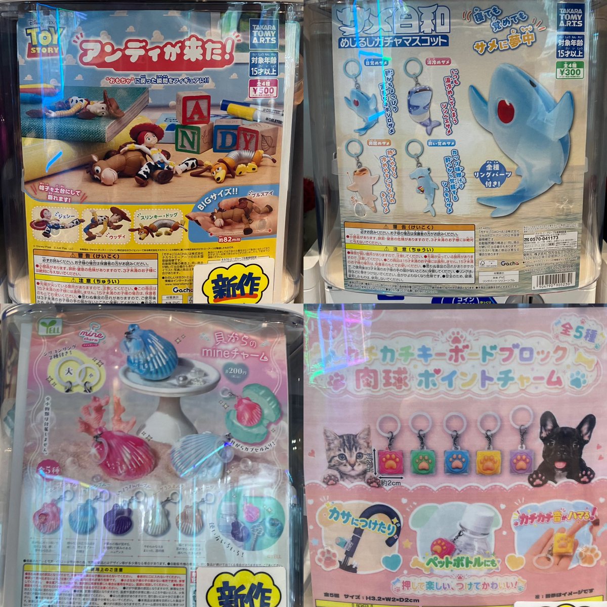 capsulesouko_s's tweet photo. 🌟本日の新入荷になります🌟
※一部再販、旧作の補充もございますのでご注意下さい！
タイミングにより売り切れの場合がございます。🙇‍♂️
#マンガ倉庫春日白水店
#カプセルトイ
#ガチャ
#ハイキュー
#もちにゃみ
#ズートピア
#トイストーリー
#おぱんちゅうさぎ
#サメ日和
#貝殻のmineチャーム https://t.co/smrgsCzkD5
