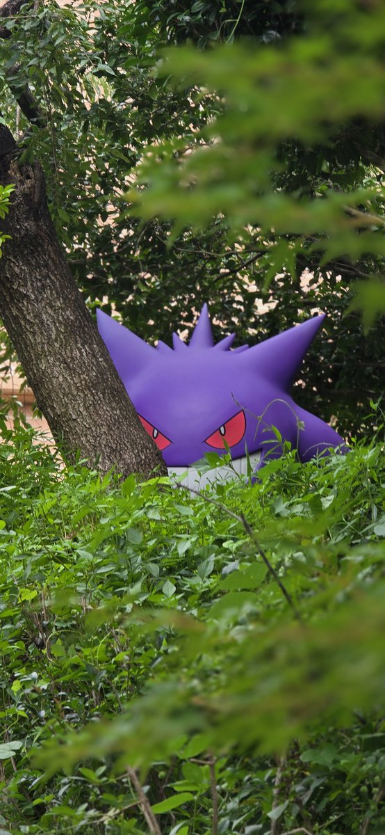 Mi__cancan's tweet photo. ポケパーク楽しかった～
(4枚目は探さないと見つからないミュウ) https://t.co/M1BrQo1UOe
