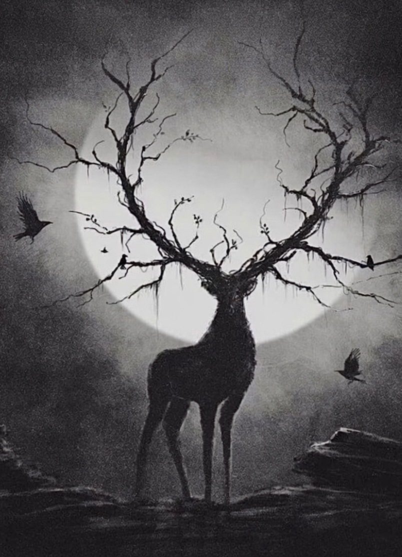 NoDMsPerfavore's tweet photo. FULL BUCK MOON 

Release what was never yours to carry.

Your strength grows through conscious responsibility.

Create space for what truly belongs to your path.

Your energy supports what is aligned with your purpose.

Power through with steadiness &amp;  integrity. 

G’ nite ✊🇺🇸🙏🏼 https://t.co/LG1dBndTOh