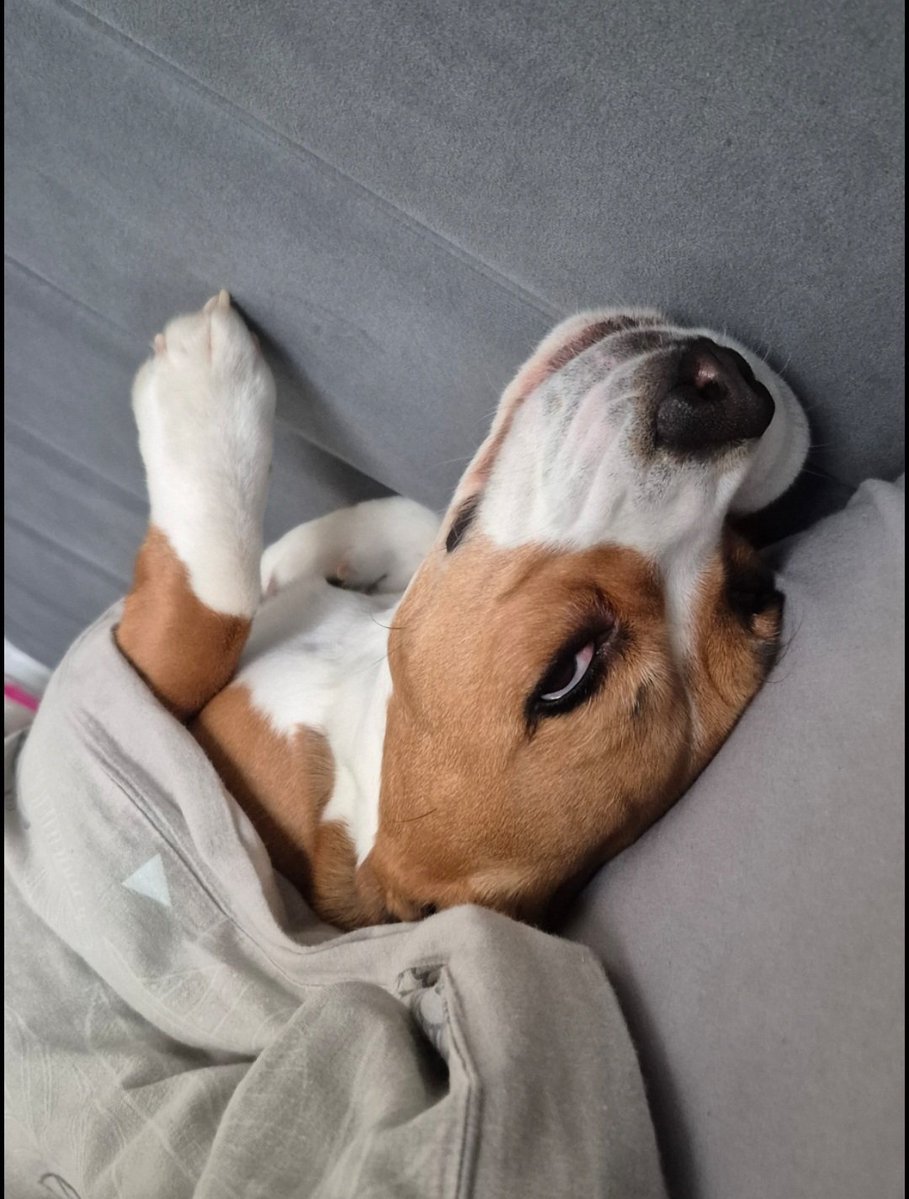 NellyCoin's tweet photo. $NellyCoin starts in a couple of weeks
10 august
$Nelly doesn't know that on August 10th, people will become rich thanks to her coin
Tg👇
https://t.co/vOpb1j9O7s
#solana #pumpfun #memecoin #crypto #Nelly #NellyCoin https://t.co/NpZH8Lh8Kb