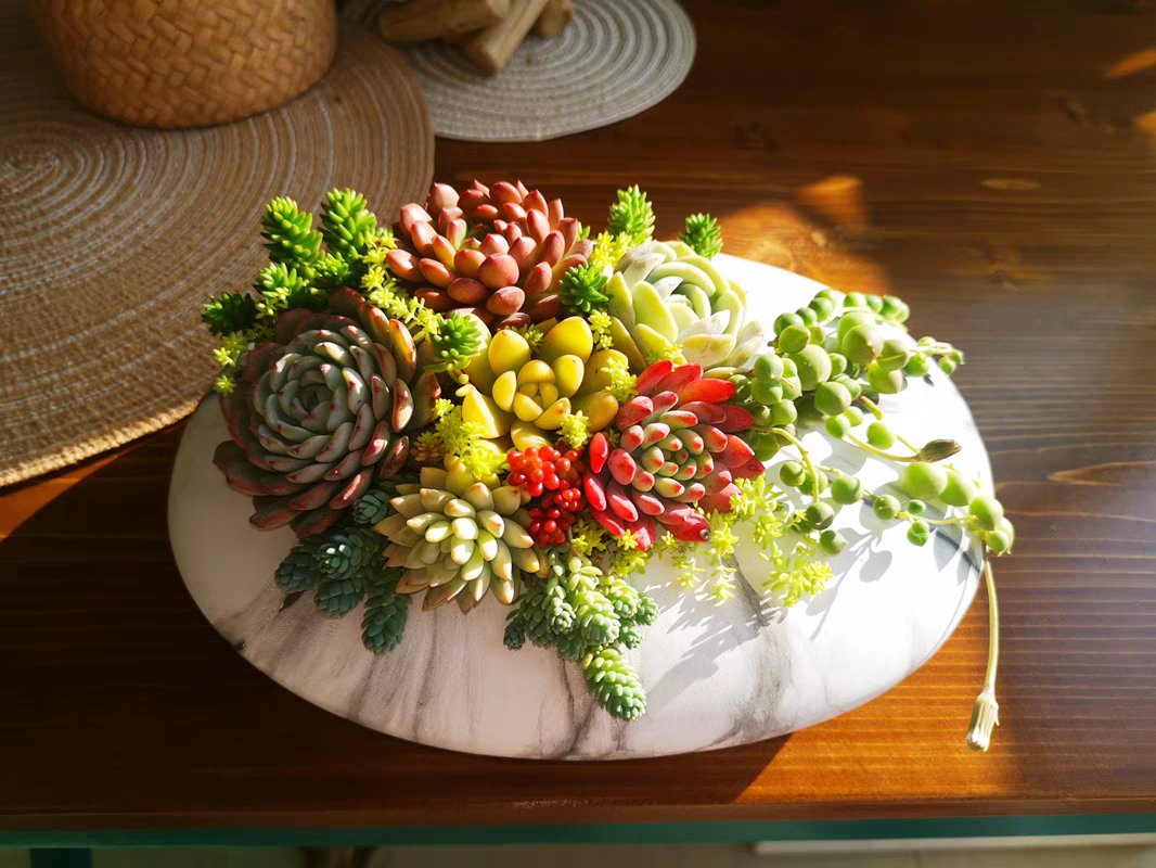 BaileyFinnug56's tweet photo. Turn an old mason jar into a charming tiny succulent planter! Perfect sprucing up your desk on a budget  #UpcycleDIY https://t.co/qjMLlKvJwv