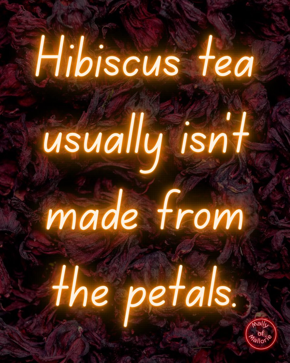 MallyofMallorie's tweet photo. Hibiscus Tea Isn’t Made from the Petals 🌺

The “hibiscus” found in many ruby-colored herbal teas is usually roselle, traditionally known as Hibiscus sabdariffa. 
#herboftheday #hibiscus #holistichealth https://t.co/pM4IIxDPkO