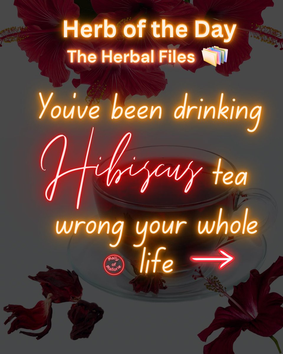 MallyofMallorie's tweet photo. Hibiscus Tea Isn’t Made from the Petals 🌺

The “hibiscus” found in many ruby-colored herbal teas is usually roselle, traditionally known as Hibiscus sabdariffa. 
#herboftheday #hibiscus #holistichealth https://t.co/pM4IIxDPkO