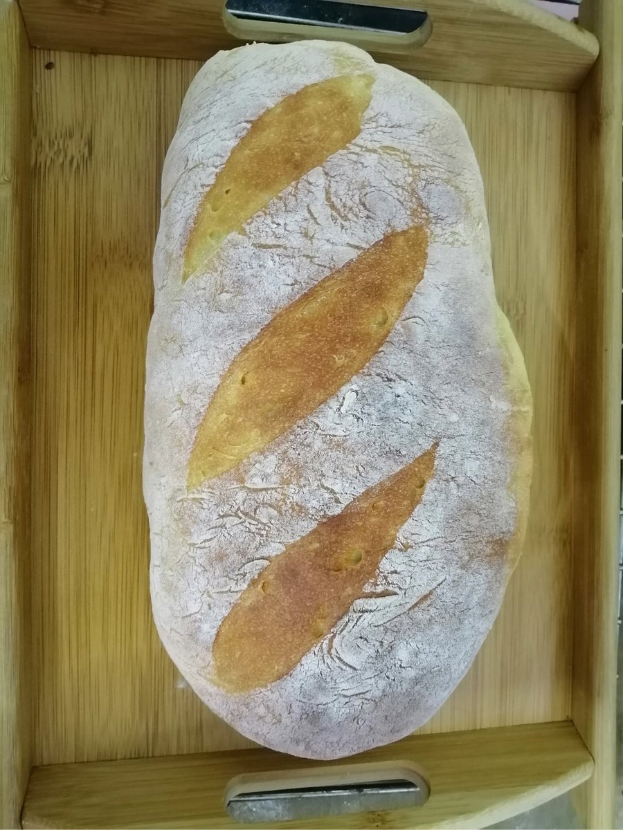 LucileJorres's tweet photo. Just pulled my first homemade sourdough loaf out of the oven—crusty, golden, and the house smells like heaven  The best kind of weekend win!， https://t.co/A7T9kQnzmr