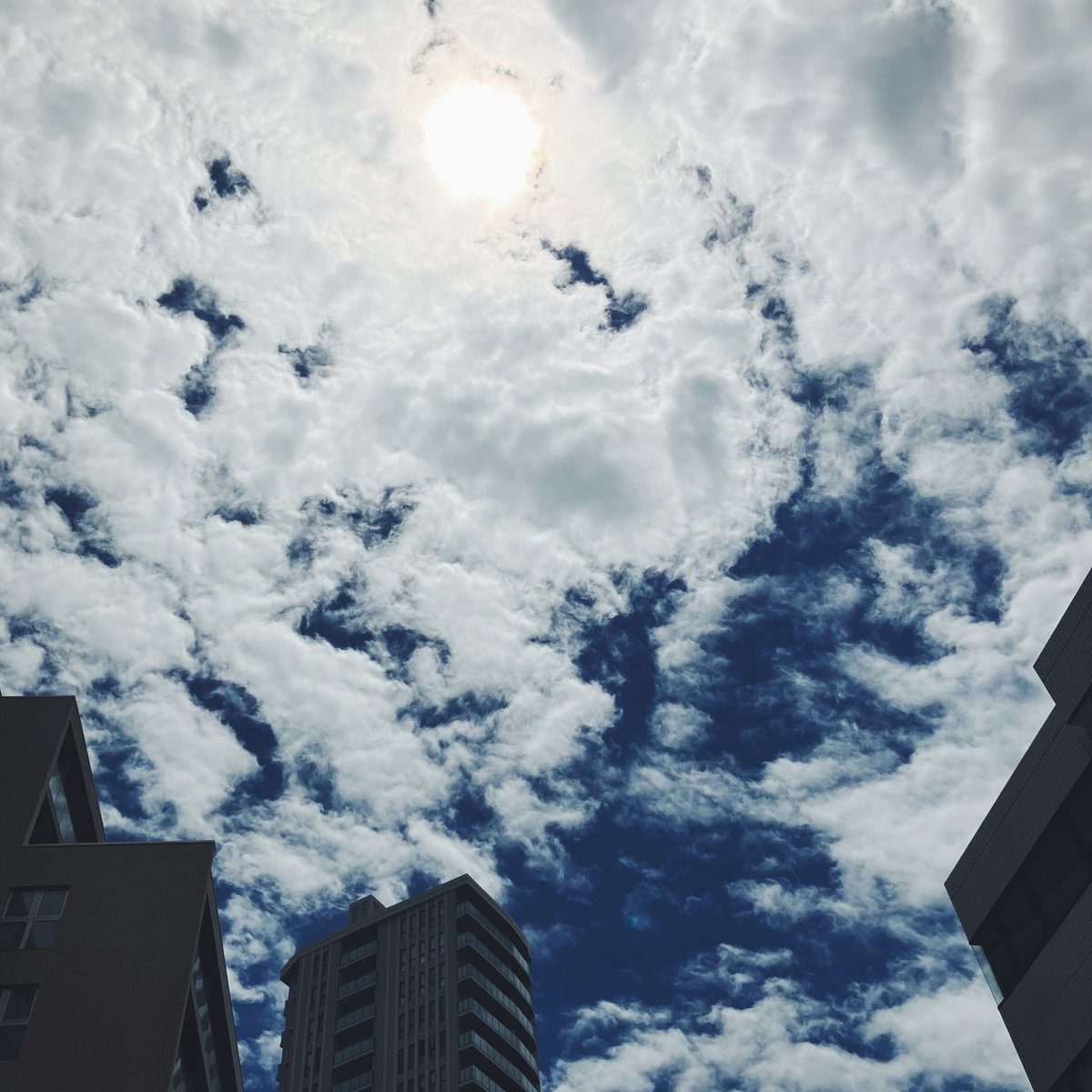 nklviz's tweet photo. ︎ ︎︎︎︎︎空 https://t.co/dwd7ayt29E