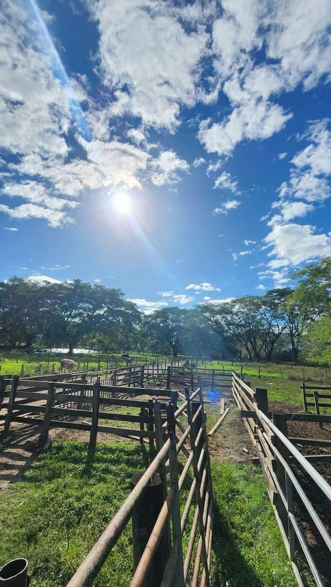 oscarvenus's tweet photo. Wishing y'all a Blessed day from the farm. https://t.co/ZL0HI3Hsxl