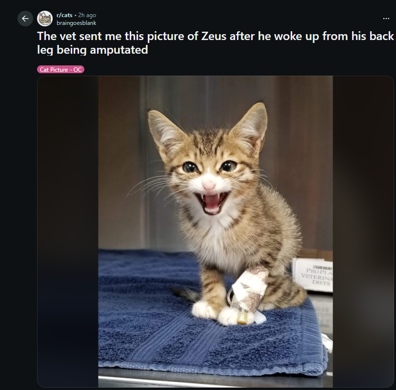 abrawlerj (redemption arc) tweet media