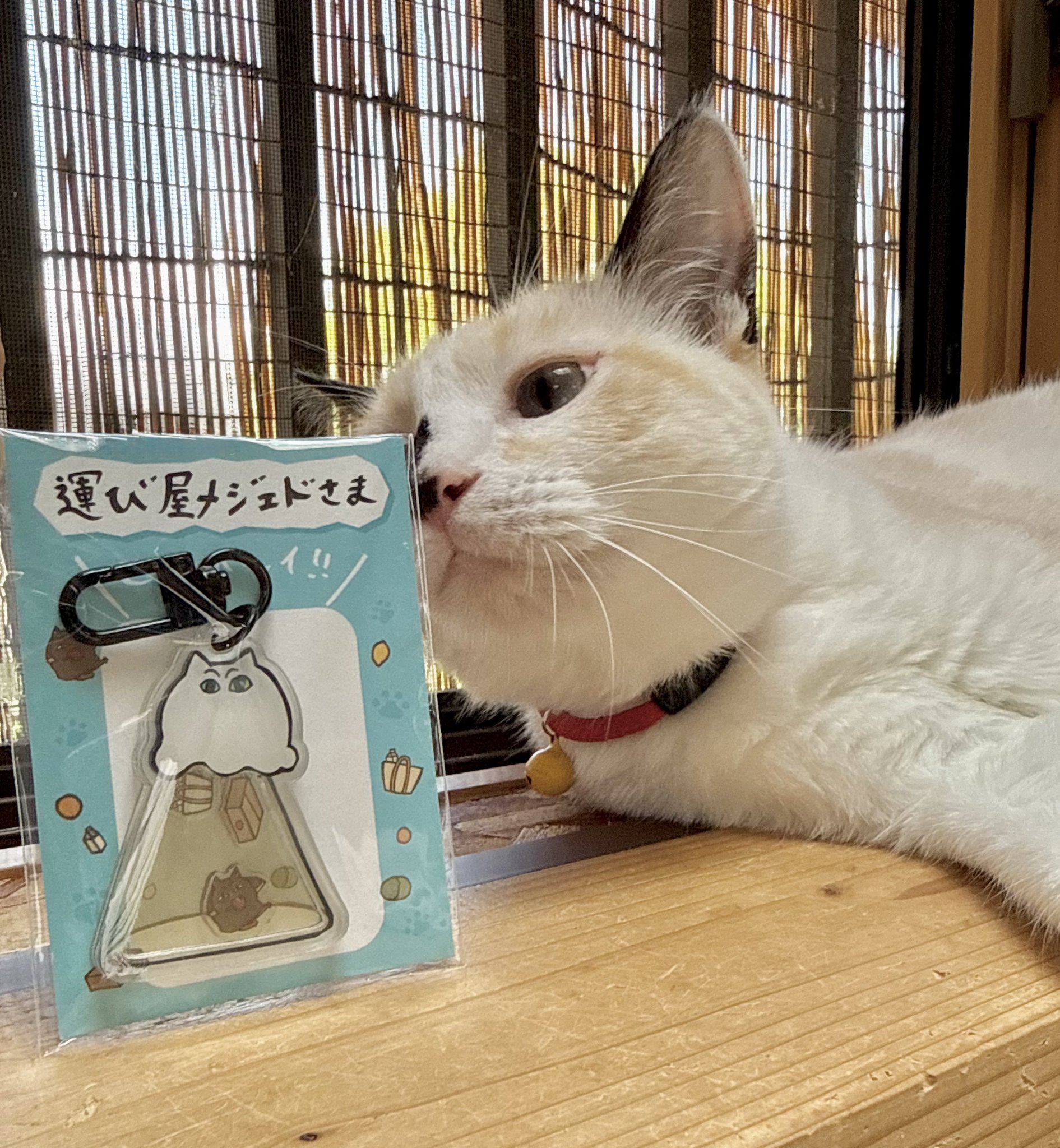 みき様4出品お纏め確認専用ページ なみそ📕KEN/メジェド4コマ書籍化！ on X: 