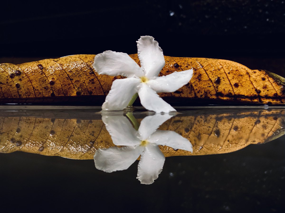 mansebanjaran's tweet photo. Photo challenge: REFLECTION

QP or share below. https://t.co/BpLSqHDaKG