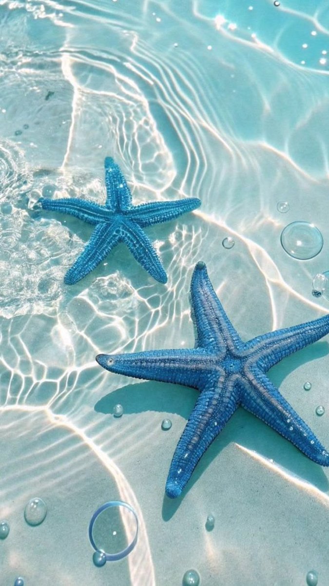 naturehollic's tweet photo. Star Fish https://t.co/vBId9Au5Jb
