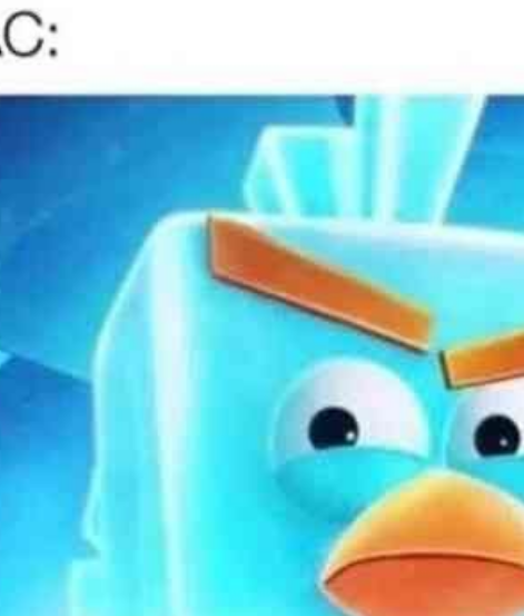 BluebriarArts's tweet photo. "Hey Ice Bird, what is the primary hard drive on my PC called?" https://t.co/2kHpjvZ9uO