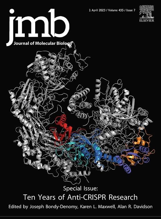 HaldarShubhasis's tweet photo. Delighted to share that our second paper accepted this week is in the Journal of Molecular Biology.
Using Covalent Magnetic Tweezers (CMT), we show how molecular chaperones reshape the protein folding landscape at the single-molecule level. https://t.co/BULxlRLNQh