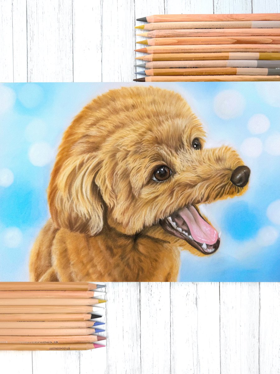 ramukichi01's tweet photo. トイプードルちゃん描かせていただきました🐶✨️
背景も良い感じで一眼レフ風に仕上がりました✨️

私事ですが
暑すぎて梅干し入のお弁当がより美味しく感じます😊
#絵描きさんと繋がりたい
#ワンコ好きさんと繋がりたい
#いらすた 
#トイプードル https://t.co/gYRMkPagZ6