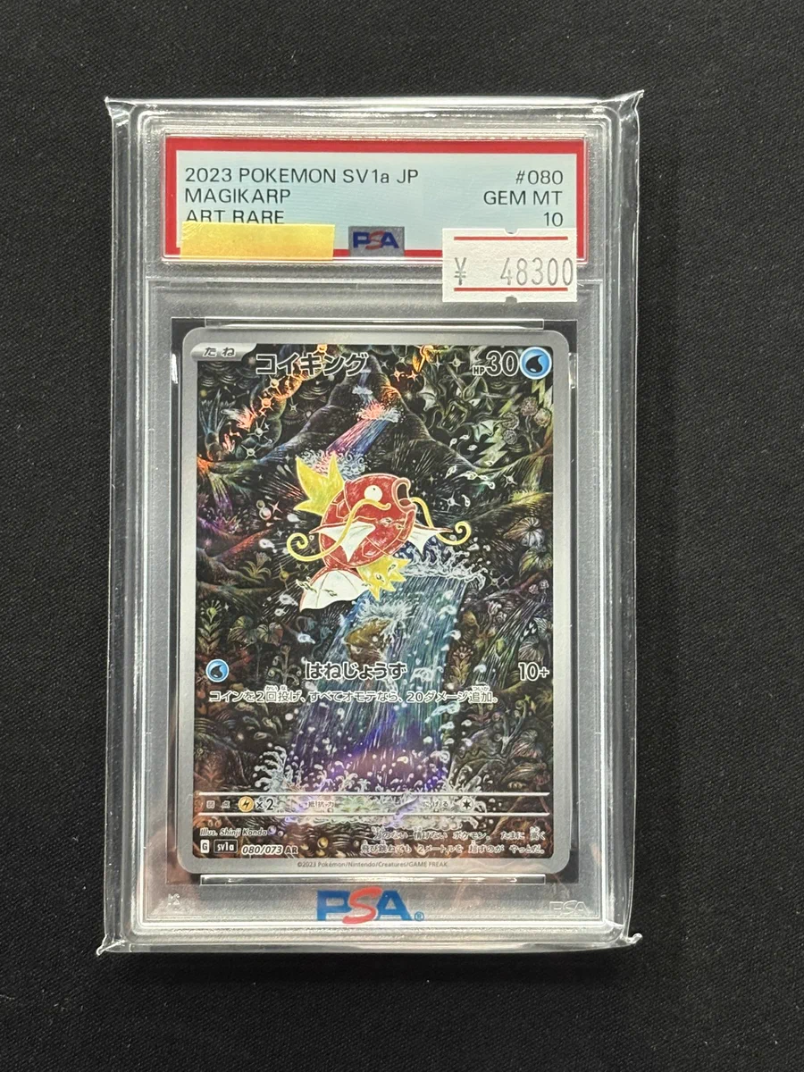 pokemon card shop any on X: 
