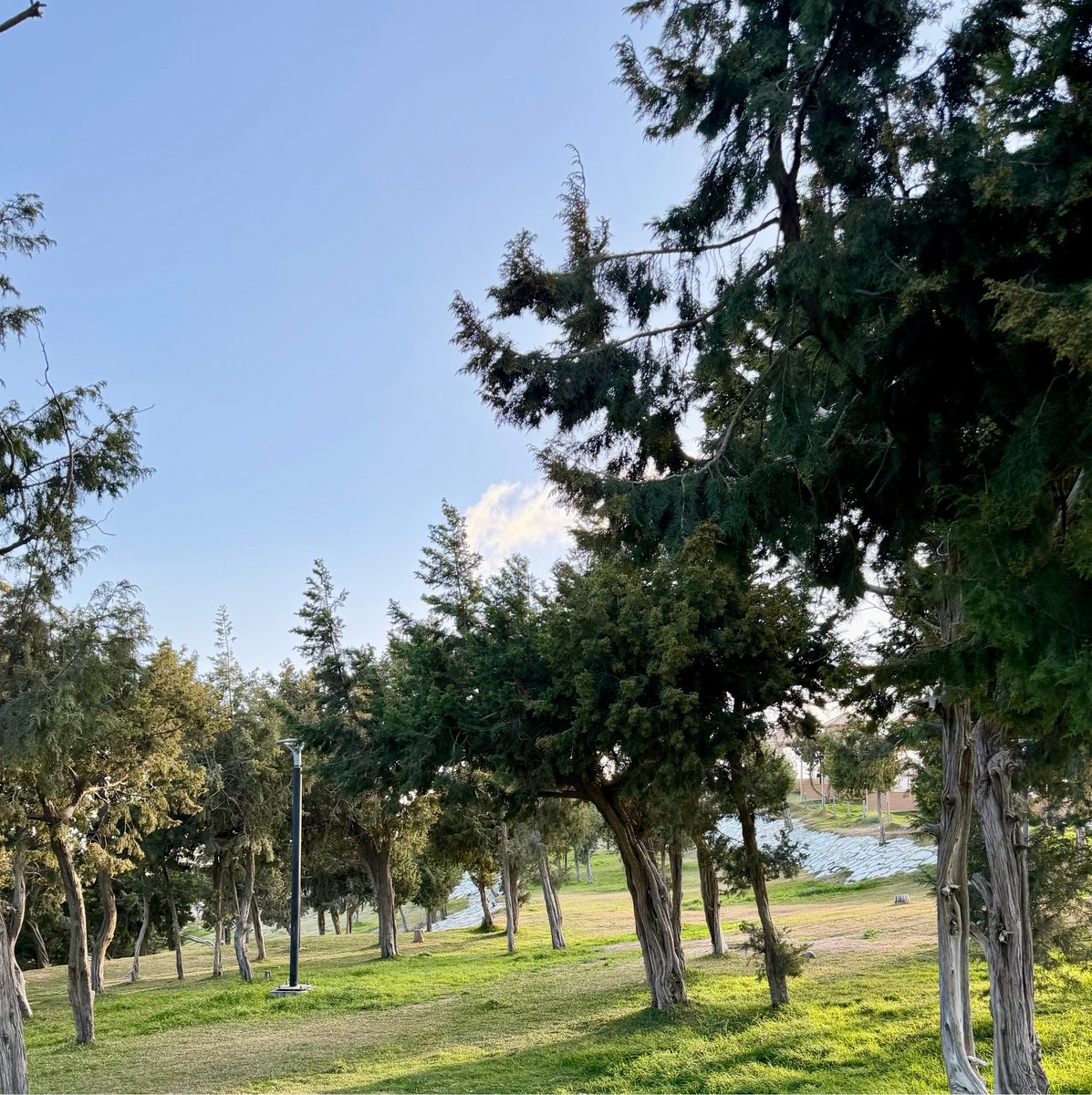 LIVE_TASI's tweet photo. إنما الإنسان أثر فانظر ما أنت تارك خلفك 

جُملة تختصر الفكرة كلها ، وتعيد تعريف البقاء بما هو أعمق من الحضور 
 جميل هذا التذكير بأن ما يبقى منا ليس ما نملكه ، بل ما نتركه في قلوب الآخرين من أثر🍃 https://t.co/nsXq48ecDl