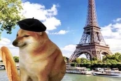 CheemsOG_SOL's tweet photo. Le Paris https://t.co/7qGEh48cl8