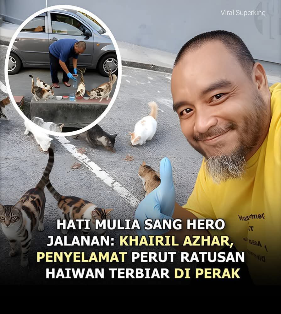 kyril_graguks's tweet photo. Kawan2 akhir bulan😔.Terpaksa mengemis demi mereka.Bebanan semakin berat dgn jumlah mereka yg sedia ada dlm jagaan+lambakan baru.Rm4k setiap bln utk 🐈🐕‍🦺demi memastikan ratusan mereka dpt makanan&amp;rawatan.Saya rayu jasa baik semua.Mohon kongsikan&amp;panjangkan sebyk mungkin.🙏pls Tk https://t.co/EUVUByH7jW