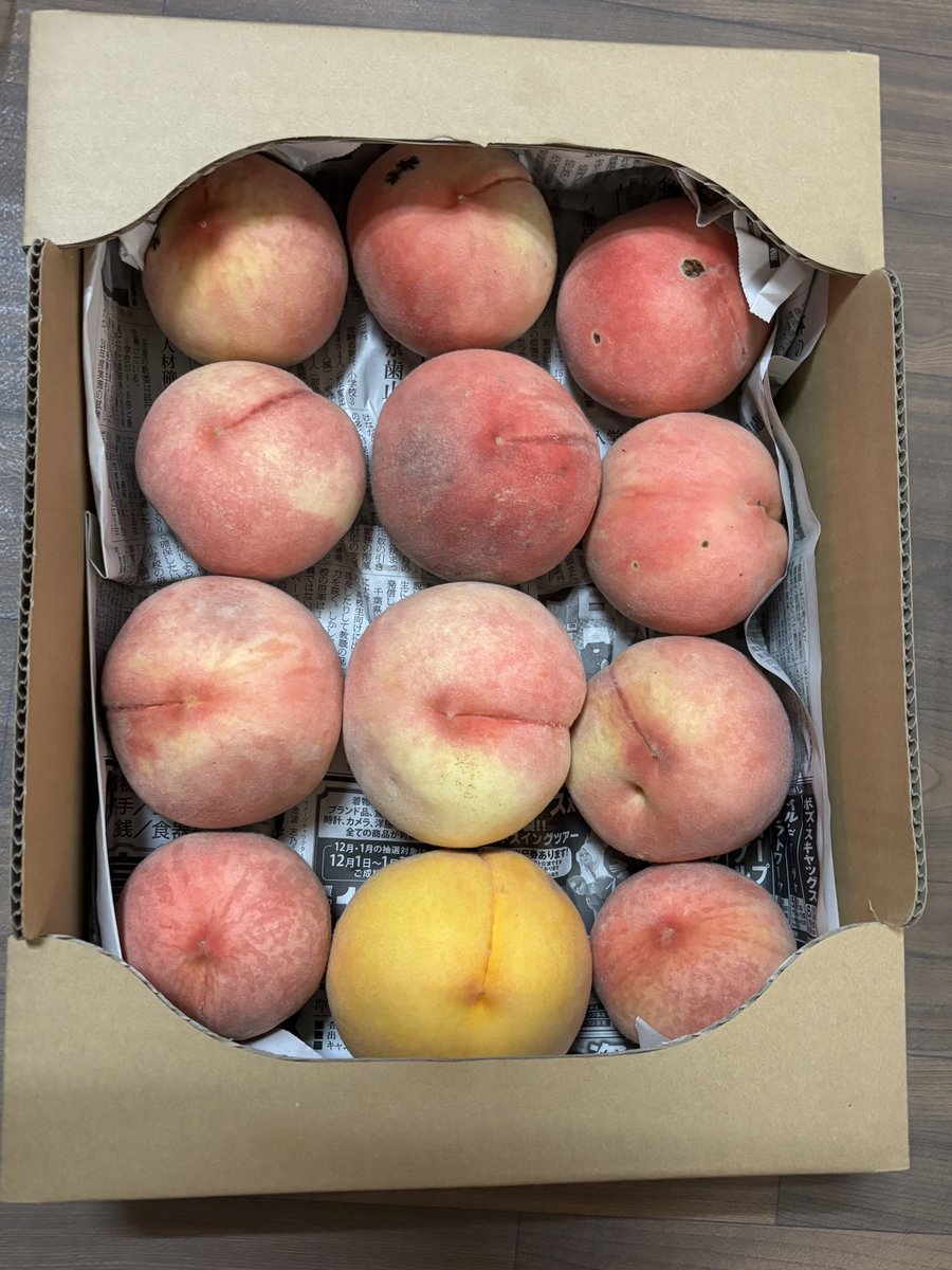 bootantan333's tweet photo. 今年初の『あら川』へ🍑
1番大好きな品種が『川中島白桃』なので、いつもは8月入ってからだけど、今年は早いそうです🍑
お買い得🉐の茶箱と化粧箱入りを購入🍑黄色🟡のが『つきかがみ』１つ熟してるので早速食べてみた❣️
ちょっと熟しすぎだけど甘くて美味しい😋🤤
もう一回行けたらいいなぁ〜 https://t.co/jVXNzFEmRs