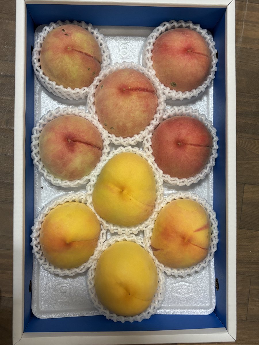 bootantan333's tweet photo. 今年初の『あら川』へ🍑
1番大好きな品種が『川中島白桃』なので、いつもは8月入ってからだけど、今年は早いそうです🍑
お買い得🉐の茶箱と化粧箱入りを購入🍑黄色🟡のが『つきかがみ』１つ熟してるので早速食べてみた❣️
ちょっと熟しすぎだけど甘くて美味しい😋🤤
もう一回行けたらいいなぁ〜 https://t.co/jVXNzFEmRs