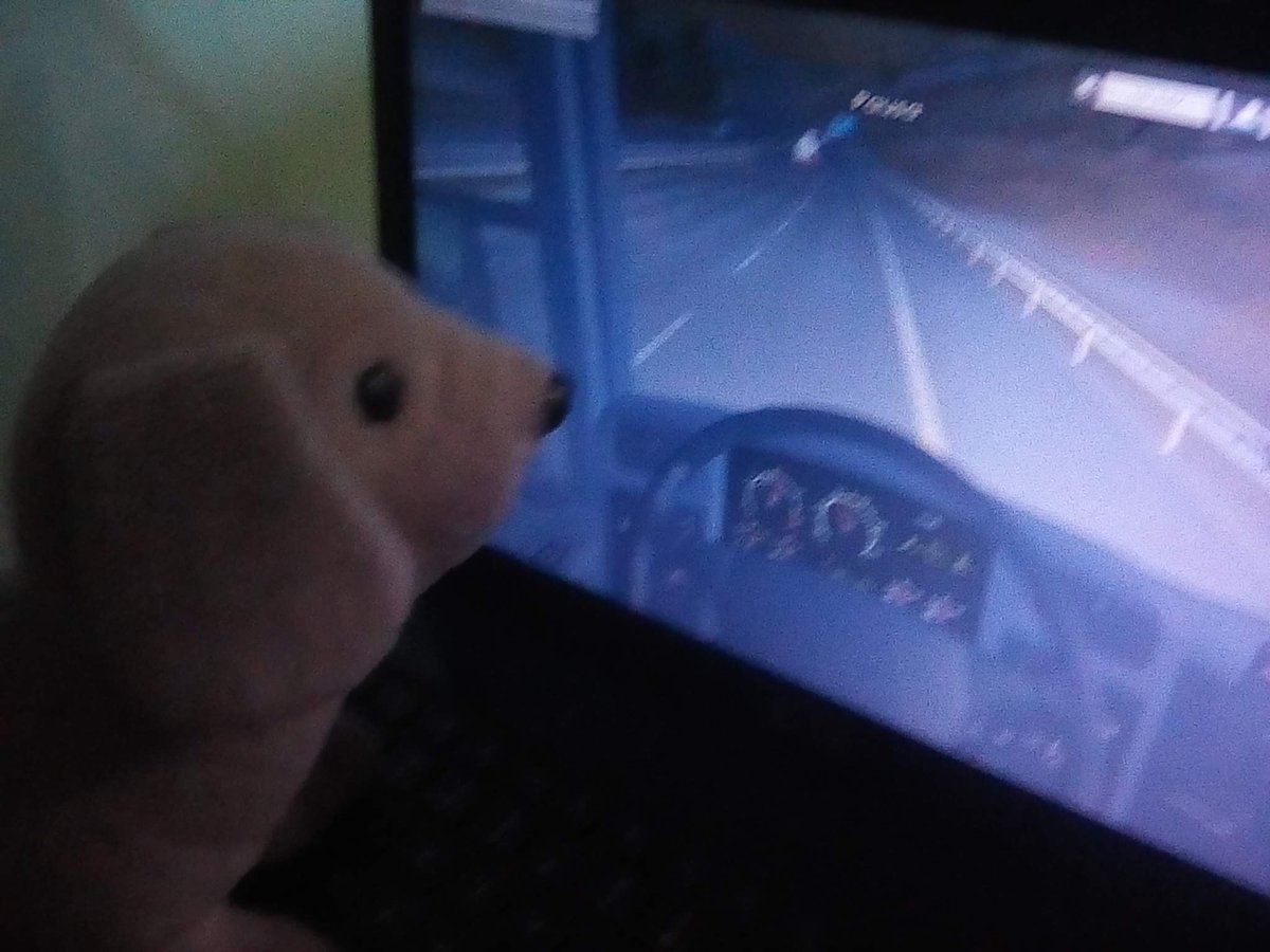 sadsilva's tweet photo. @SCSsoftware @geronimo_gilmar Só aguardando terminar de consertar o Pc 💻 e... Pé na estrada,,,, 🤣🤣🤣🤣🤣 https://t.co/bRVEGai5Mq
