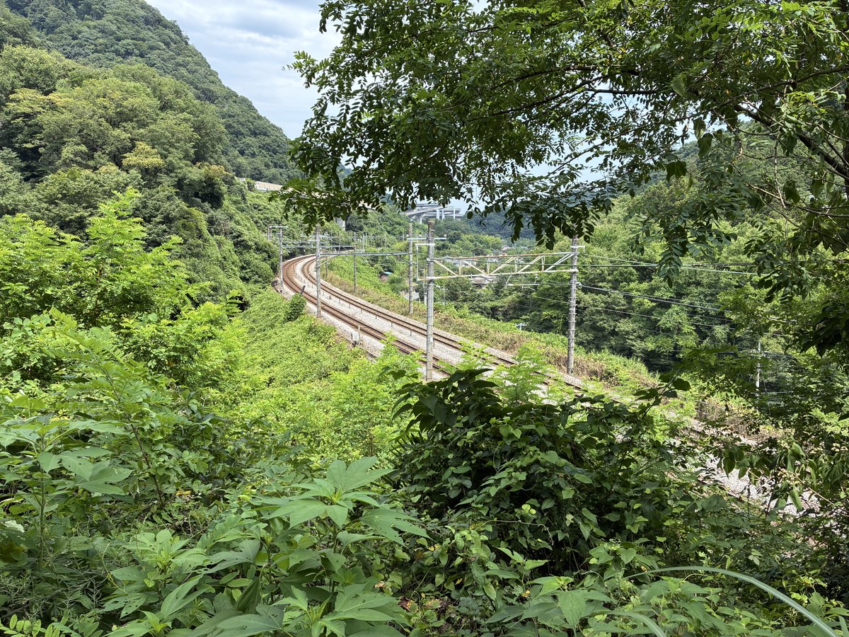 TuriTuribit's tweet photo. 暑いので避暑地へ避難📸 https://t.co/tJgpfKbS8a