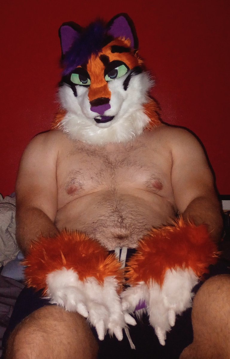 Eddd1y's tweet photo. You can come cuddle but ONLY if you watch my awesome league clip also a #TigerDay I know I'm late I'm sorry https://t.co/gb2lVnxIEH