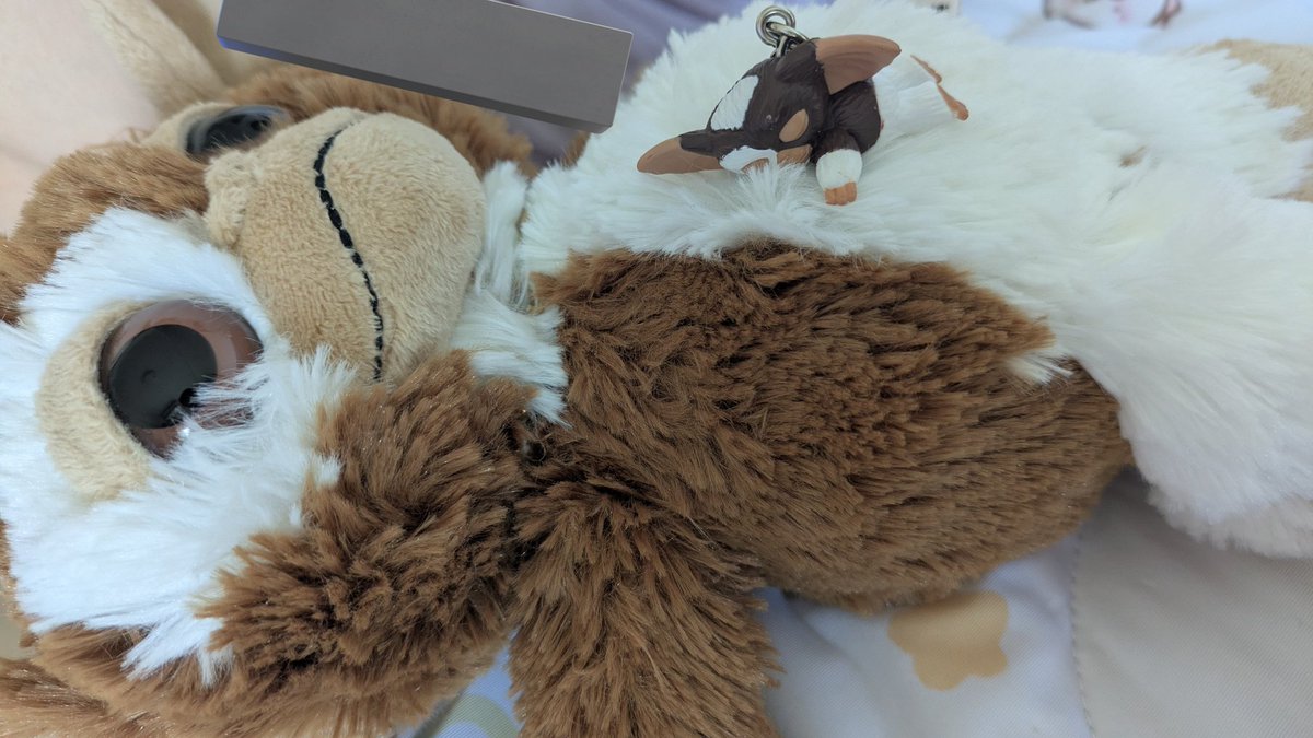 Snow18924763's tweet photo. グレムリンのめじるしアクセサリー買えた🍿
人がたくさん並んでたから焦ったけどこれには誰も並んでなかった😂
なかなか3Dメガネでなくてたくさん回したけど全部可愛い！ https://t.co/aJyjpqxq3j