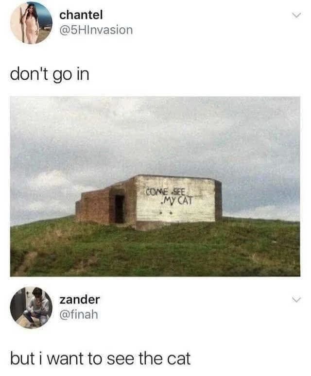 hourly_shitpost's tweet photo. https://t.co/KgNlEuEBSq
