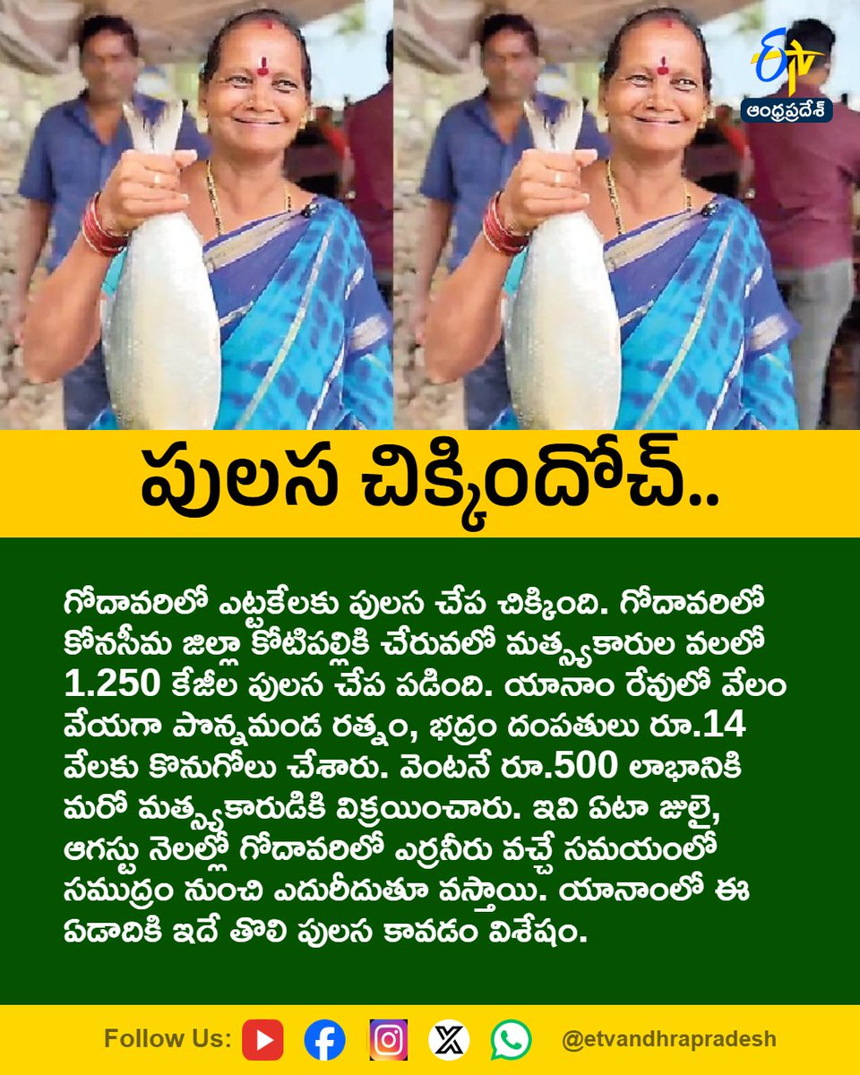 etvandhraprades's tweet photo. పులస చిక్కిందోచ్..
#PulasaFish
#Yanam
#Godavari
#Konaseema
#Etvapbreaking
For More LIVE Updates Click This Link
https://t.co/eltbdVshne https://t.co/tptaX3Gc6T