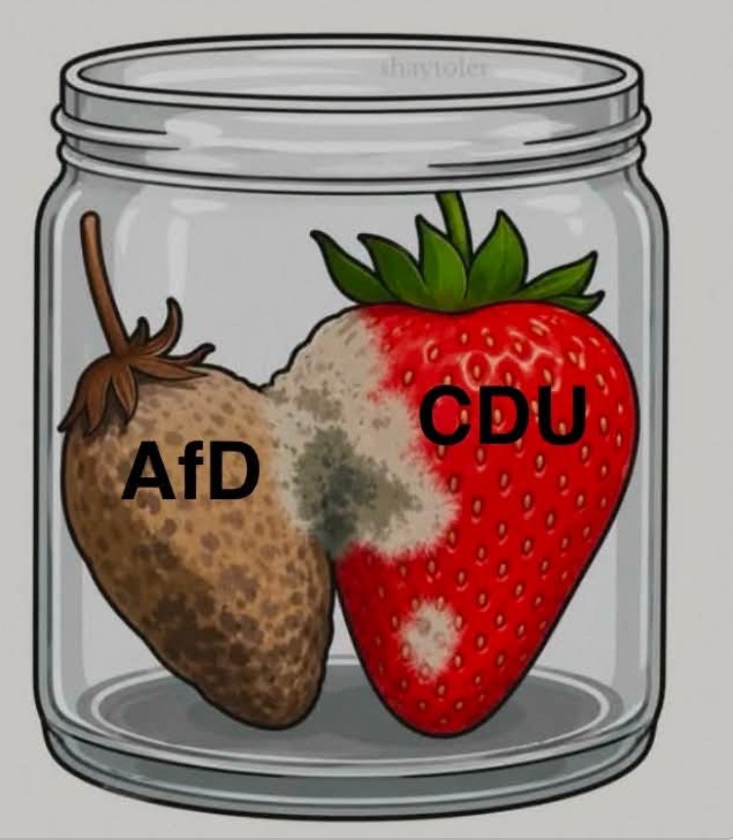 RStxs531's tweet photo. @Markus_Soeder @thorsten_frei @CSU Fortlaufende Inkompetenz ‼️ https://t.co/jDCthDnpA1