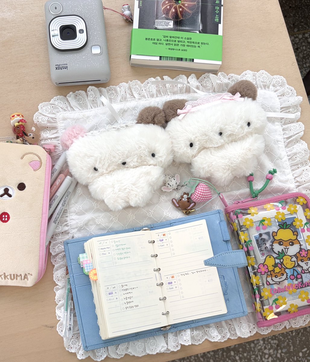 fluffy things🏡 tweet media
