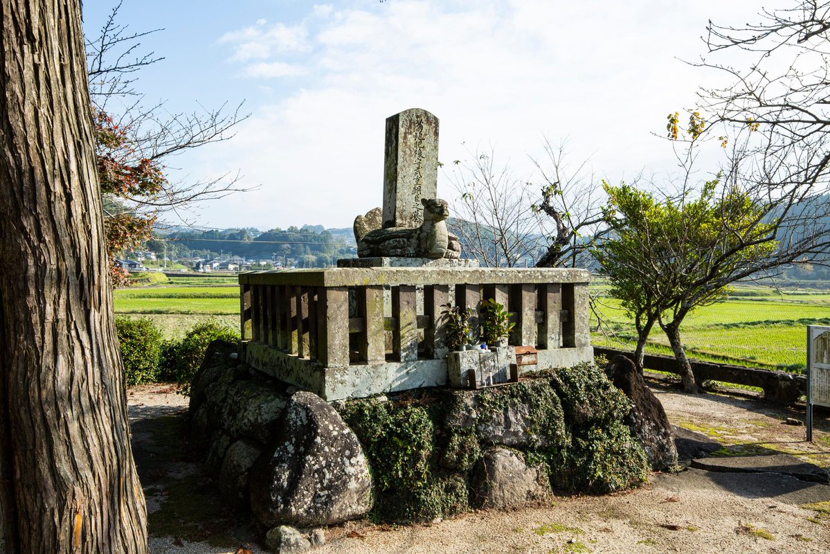kikuchi_prom's tweet photo. 興国２（1341）年8月3日、菊池氏13代武重が亡くなったとされています。箱根・竹之下の戦いでは、集団戦法「槍ぶすま（後の菊池千本槍）」で挑み、足利軍を見事に撃退。内政では「菊池家憲」を制定し、一族の結束を一段と強めました。墓は、凛々しい顔立ちの亀趺墓で、弟の武光の墓とよく似ています。 https://t.co/0s3SrxW58q