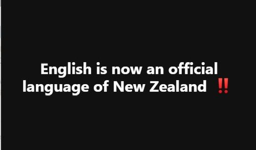 New Zealand First tweet media