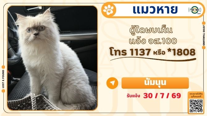 js100radio's tweet photo. แมวหายจากหมู่บ้านพฤกษาทาวน์ เพชรเกษม81 เขตหนองแขม ผู้ใดพบเห็นแจ้ง JS100 โทร *1808 หรือ 1137

รายละเอียดเพิ่มเติม : https://t.co/ydbWWGzrxn

#แมวหาย #ตามหาแมวหาย #JS100 https://t.co/1B1irJFAE3
