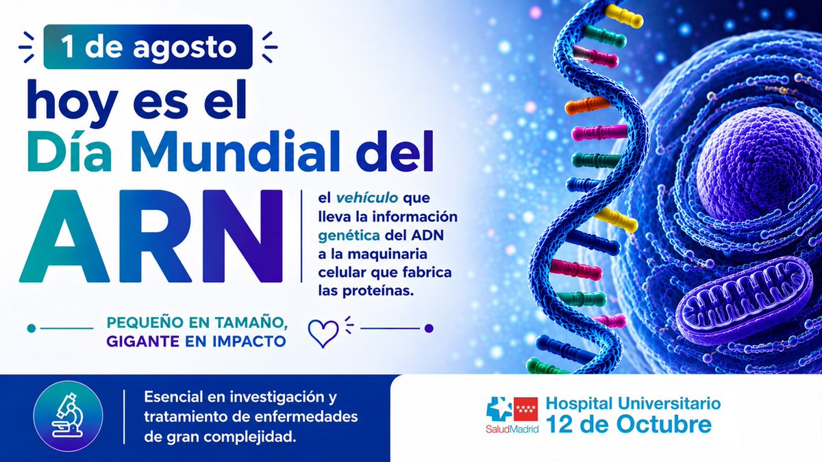 H12Octubre's tweet photo. 📇 Día Mundial del #ARN.   

🔬 El #Hospital12deOctubre avanza en el uso de perfiles de ARN para clasificar pacientes con #glioblastoma y decidir si son candidatos a terapias avanzadas como #CAR_T. 

👩‍🔬 Estudio de los doctores Berta Segura-Collar y Ricardo Gargini.  

#somosdel12 https://t.co/fmNzHyeoi3